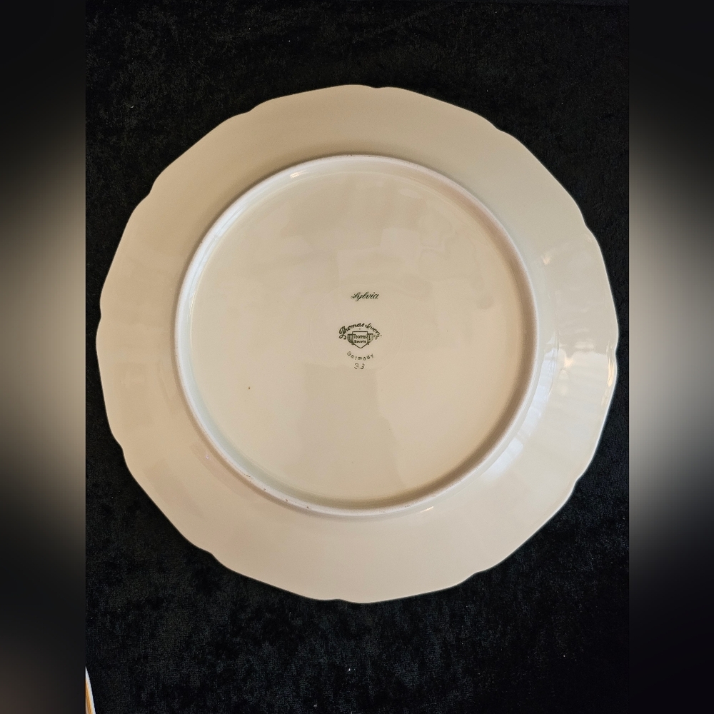 Set Of 4, Gorgeous Sylvia - Thomas Ivory Bavaria Dinner Plates - Picture 7 of 9